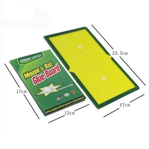 ספר דבק עכברים