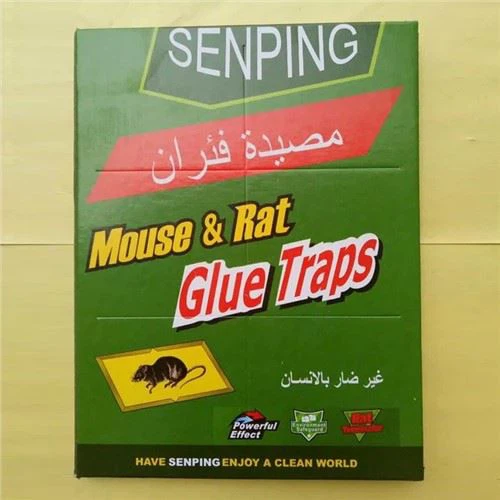 נייר דבק עכבר